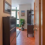 Santa Candida 3 Avg - Nuevo