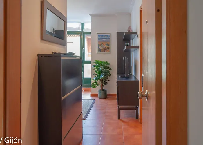 Santa Candida 3 Avg - Nuevo